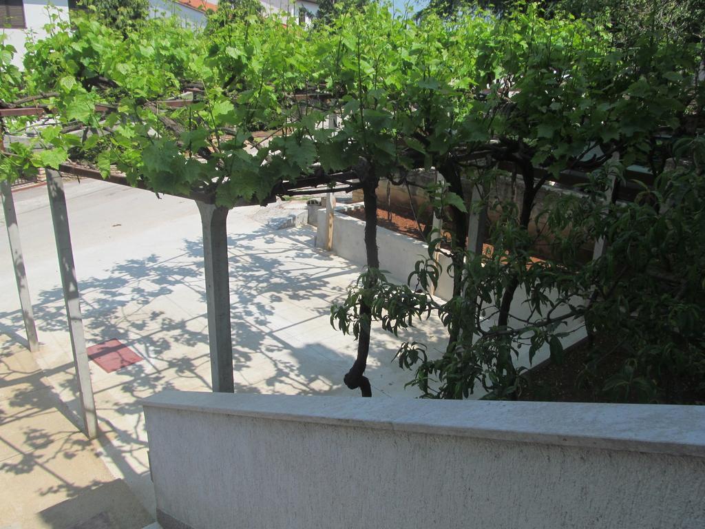 Artusi Pola