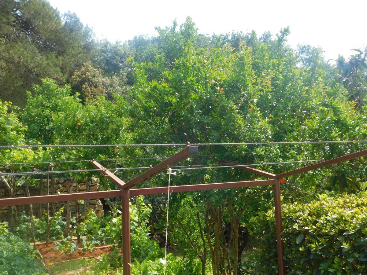 Artusi Appartamento Pola